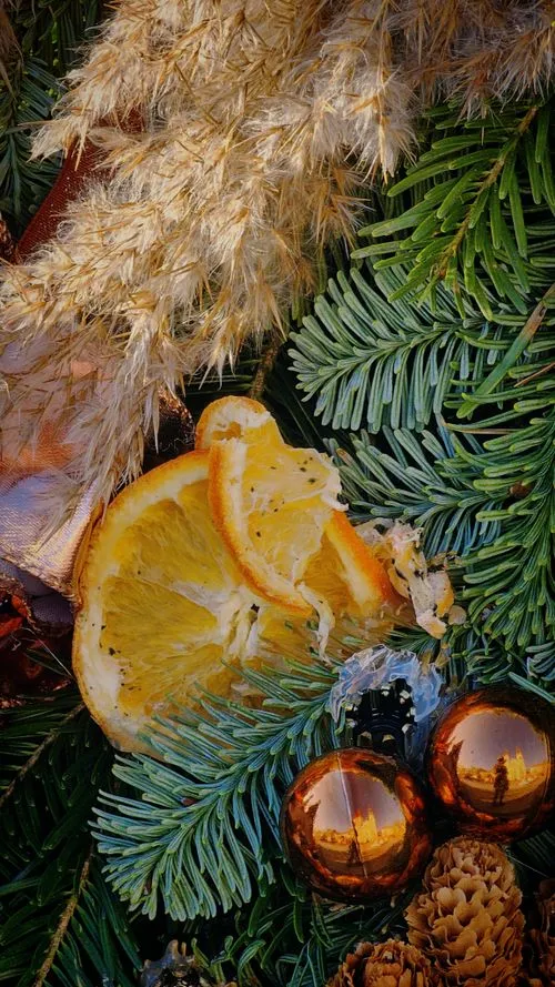 Rustic White Christmas Tree Ornament on Pine · Free Stock Photo