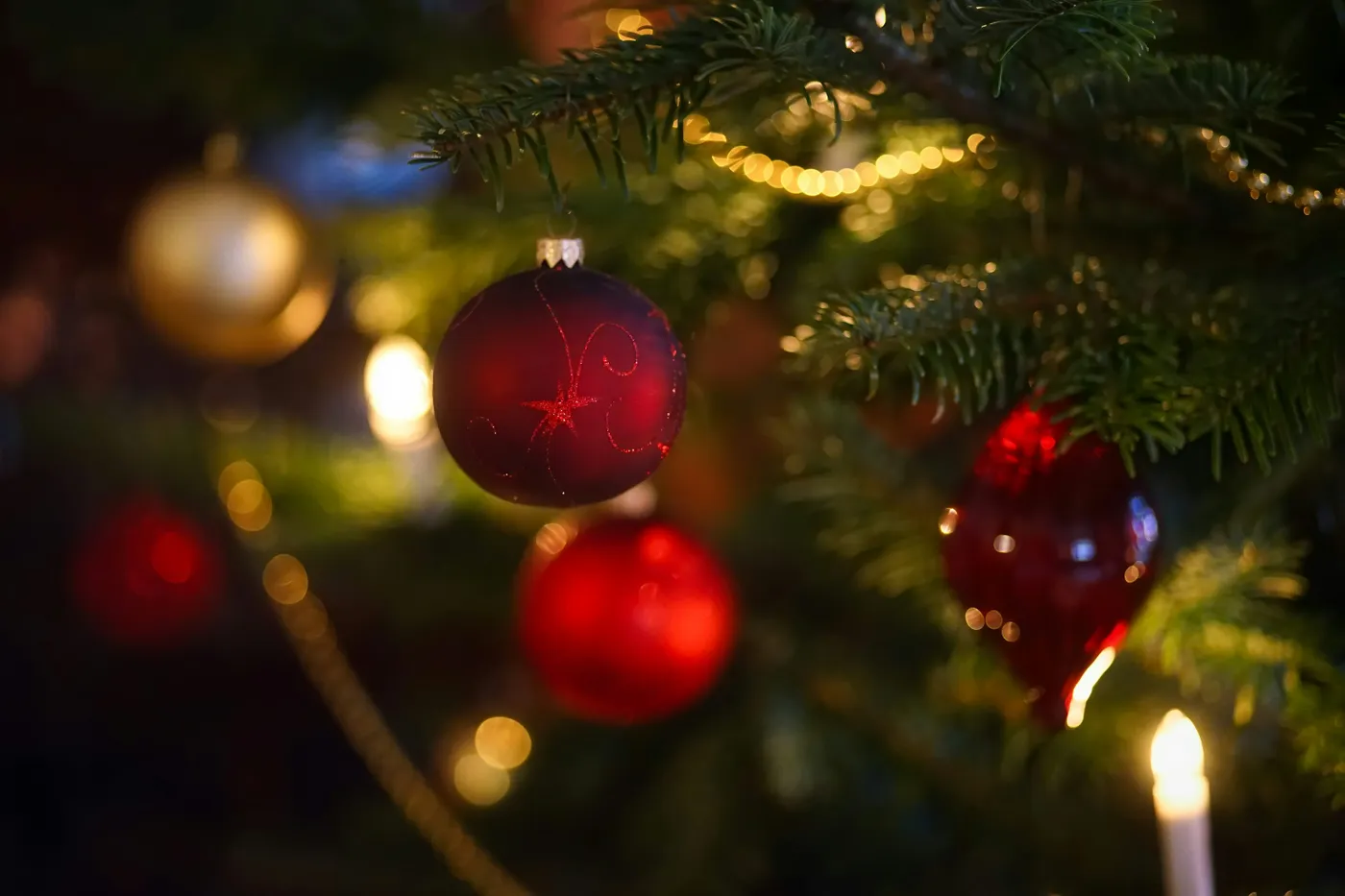 Selective focus photography of red baubles on green Christmas tree - Free  Photo on Unsplash