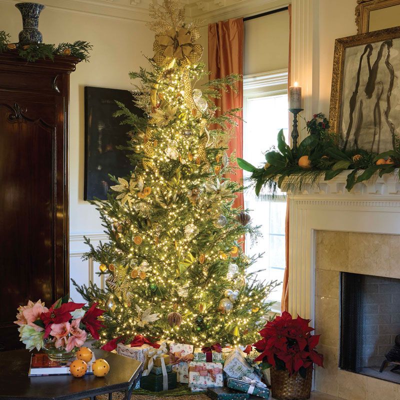 Southern Lady Holiday 2026 - Hoffman Media Store