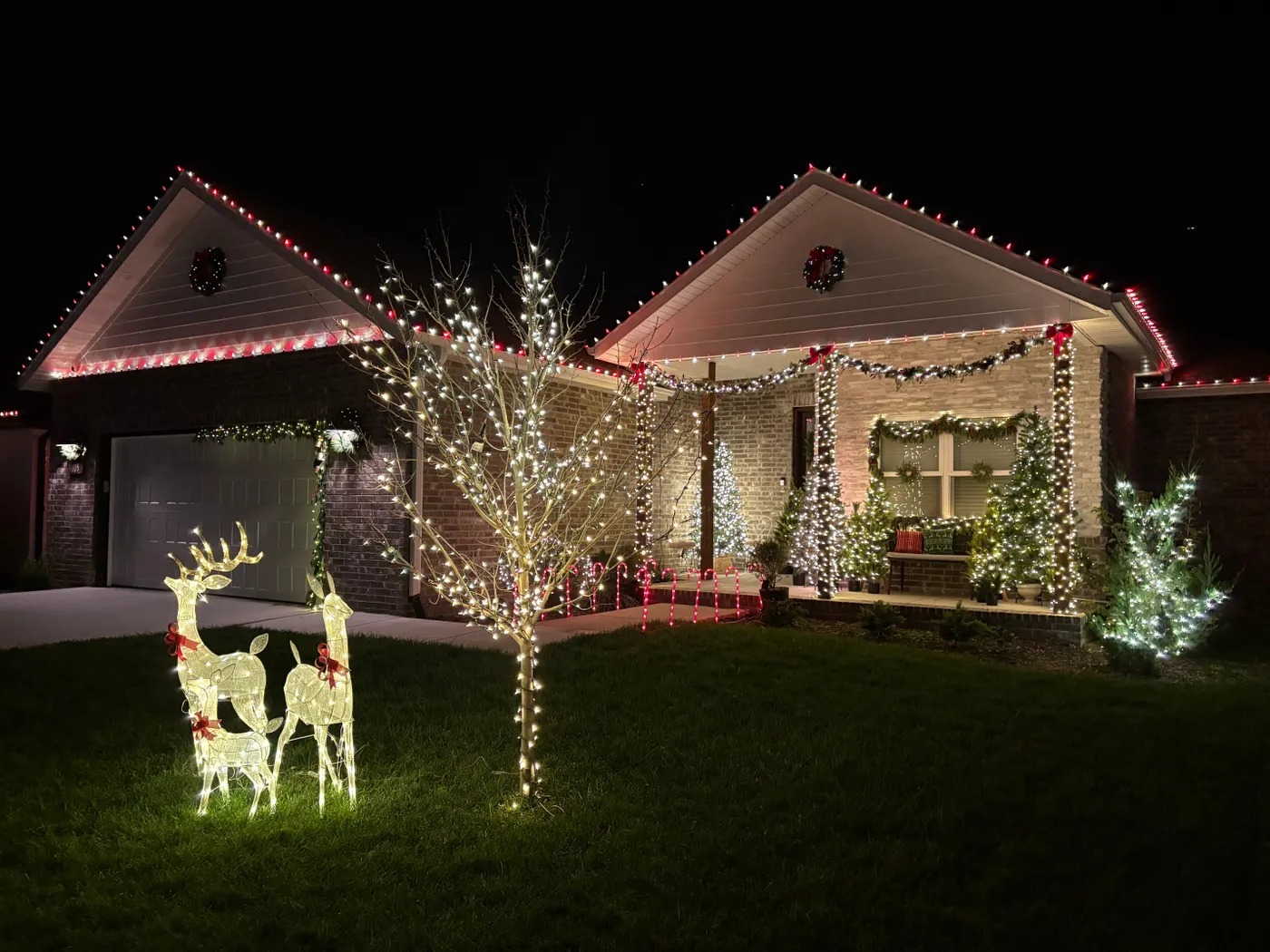 Take a look at Springfield-area homes decorated for Christmas in 2025