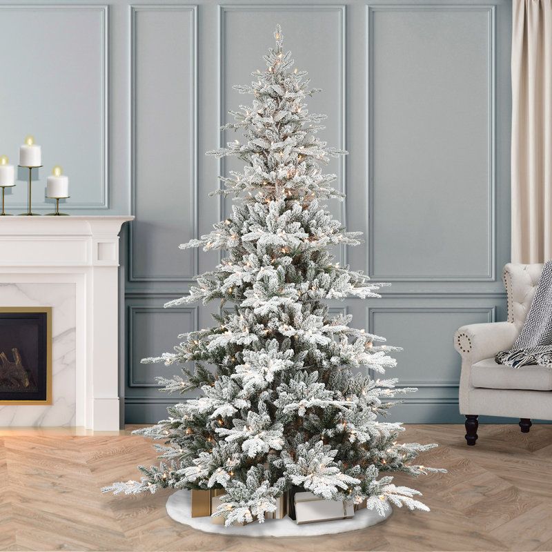 The Holiday Aisle® Frosted 7.5' Pre-Lit Pine Christmas Tree & Reviews |  Birch Lane