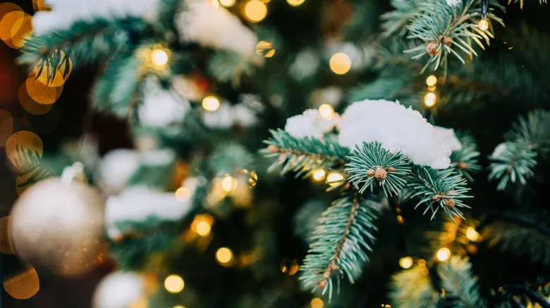 The Most Breathtaking Christmas Trees Around The World