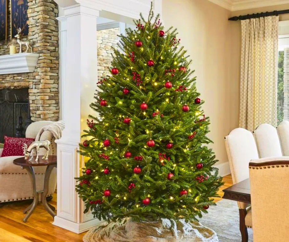 The Ultimate Guide To Choosing And Caring For Nordmann Fir, Noble Fir, And  Fraser Fir Christmas Trees - Patuxent Nursery