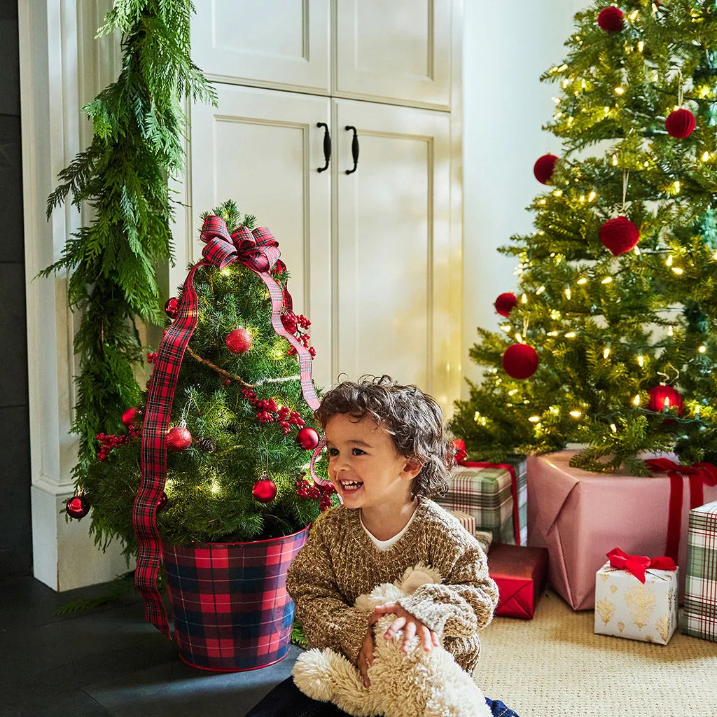 Timeless Holiday Season Splendor: Live Indoor Christmas Trees from Lyn –  Lynch Creek Farm