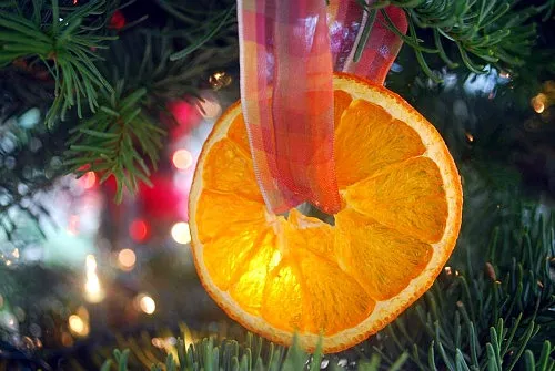 Using dried fruit to decorate for the holidays - The Art of Preserving,  made easy. -