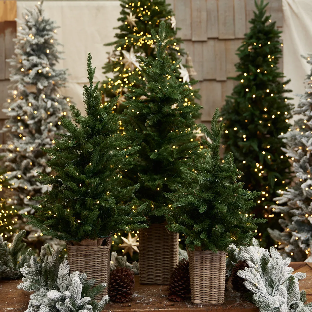 Vermont Small Potted Pre Lit Christmas Tree | Tabletop Christmas Trees