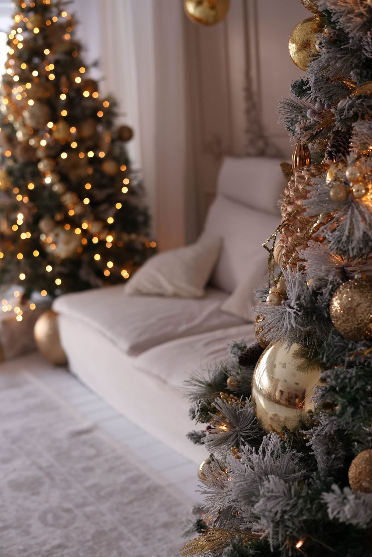 Warm, cozy living room with decorated Christmas trees softly glowing in the background.