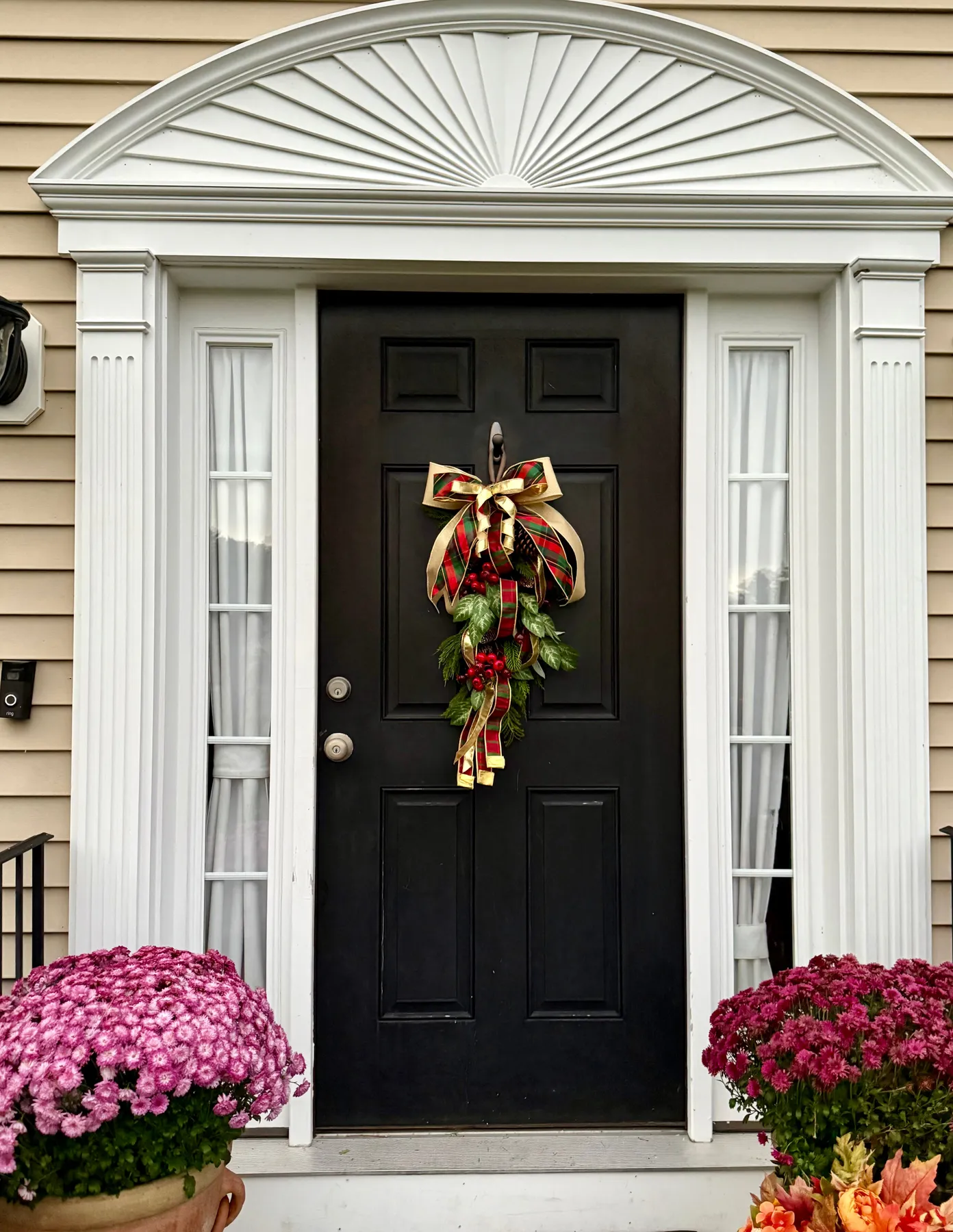 Winter Collection – Enchanted Vines