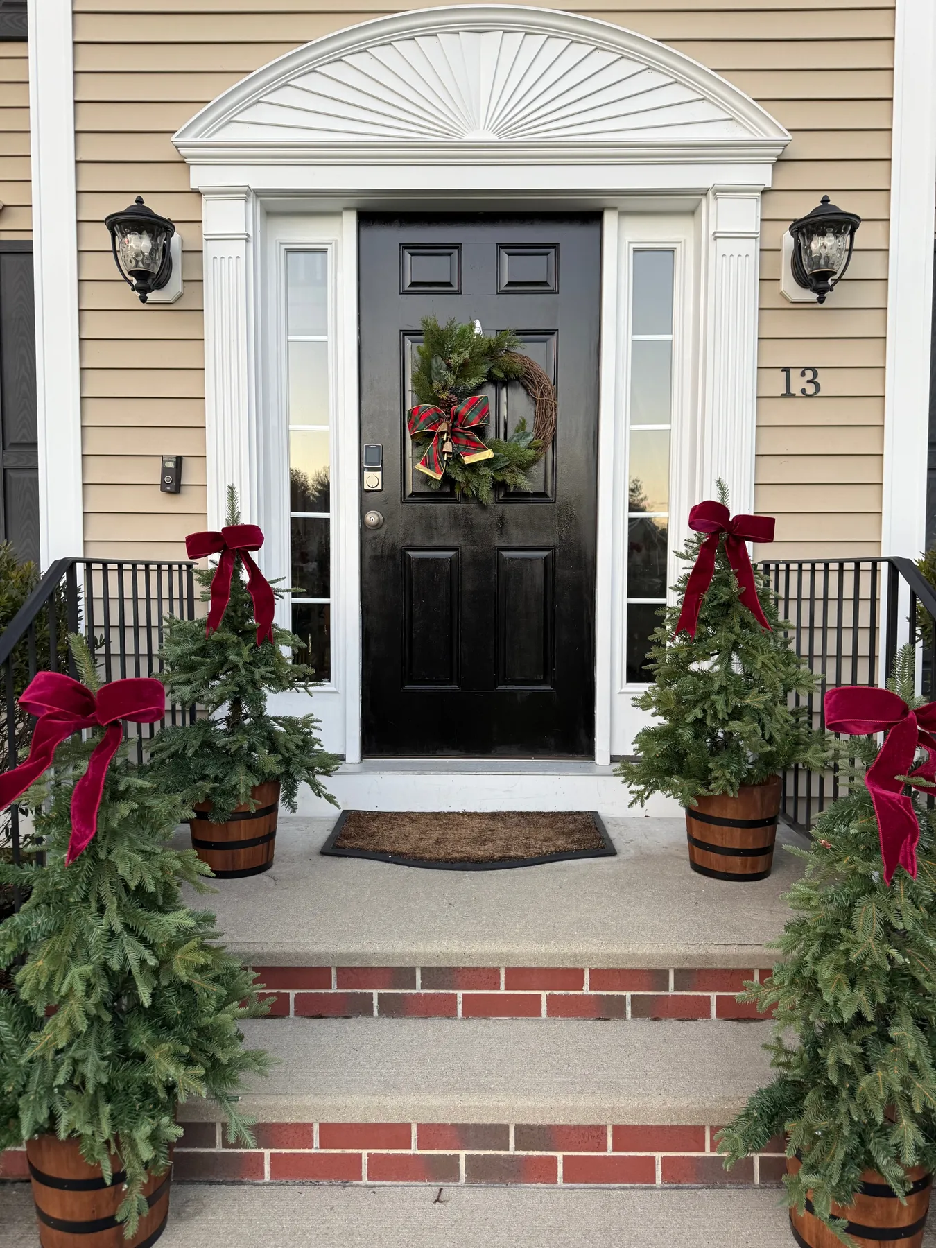 Winter Collection – Enchanted Vines