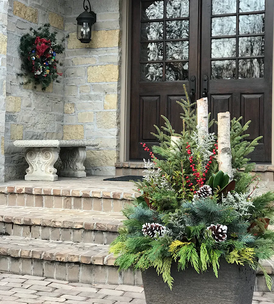 Winter planters with greenery and festive holiday potted plants.
